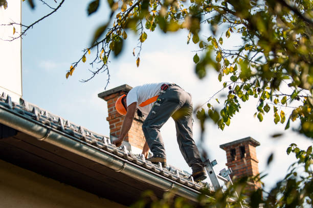 Best Residential Roof Replacement  in Osage City, KS