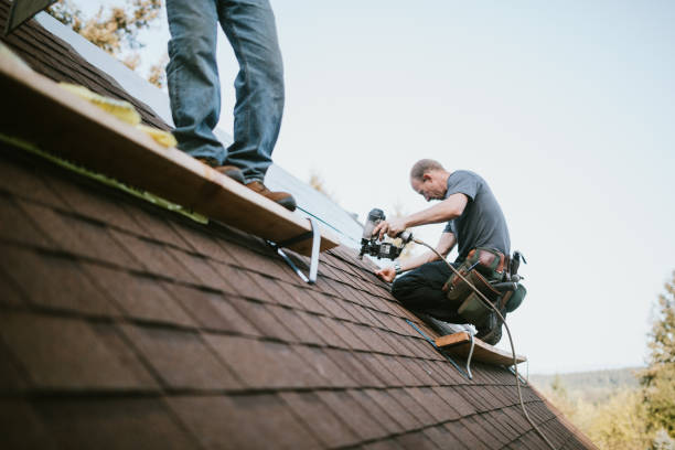 Best Metal Roofing Contractor  in Osage City, KS